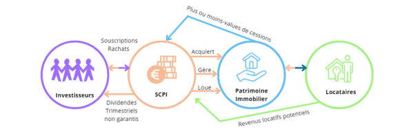 principe de la SCPI investissement pour les sportifs