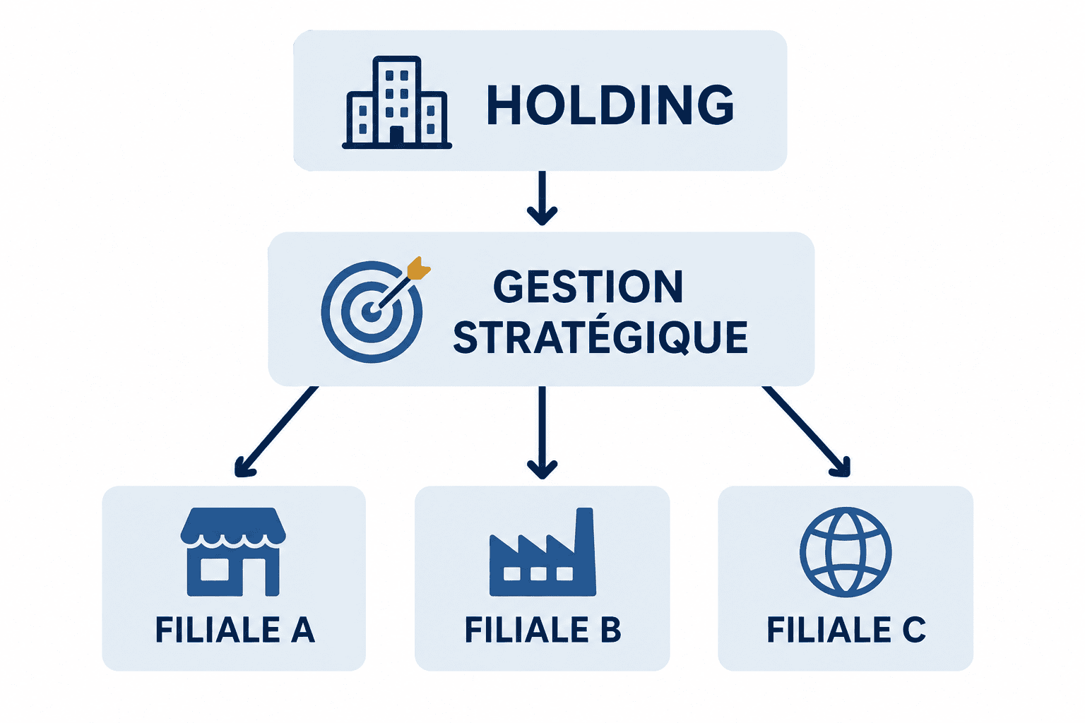 schéma société holding