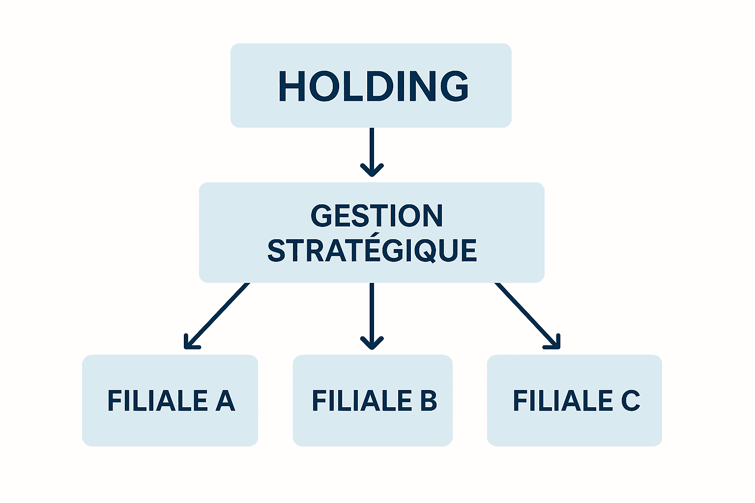 schéma société holding