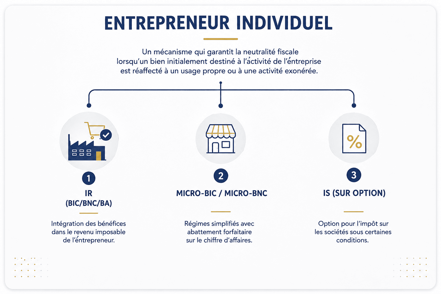 entrepreneur individuel