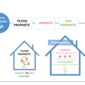 donation temporaire d'usufruit